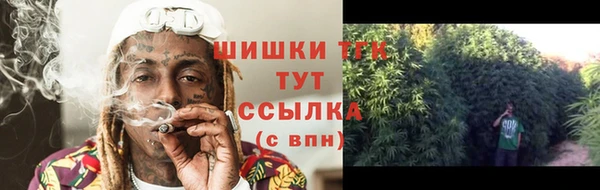 дмт Надым