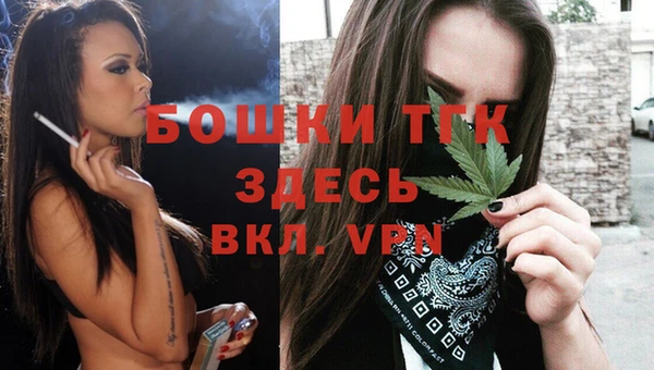 дмт Надым