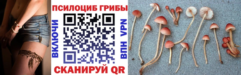 Псилоцибиновые грибы мухоморы  как найти закладки  Гдов 
