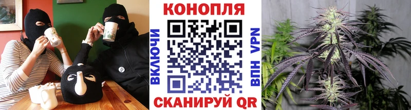 кракен маркетплейс  даркнет сайт  Гдов  Бошки марихуана THC 21% 